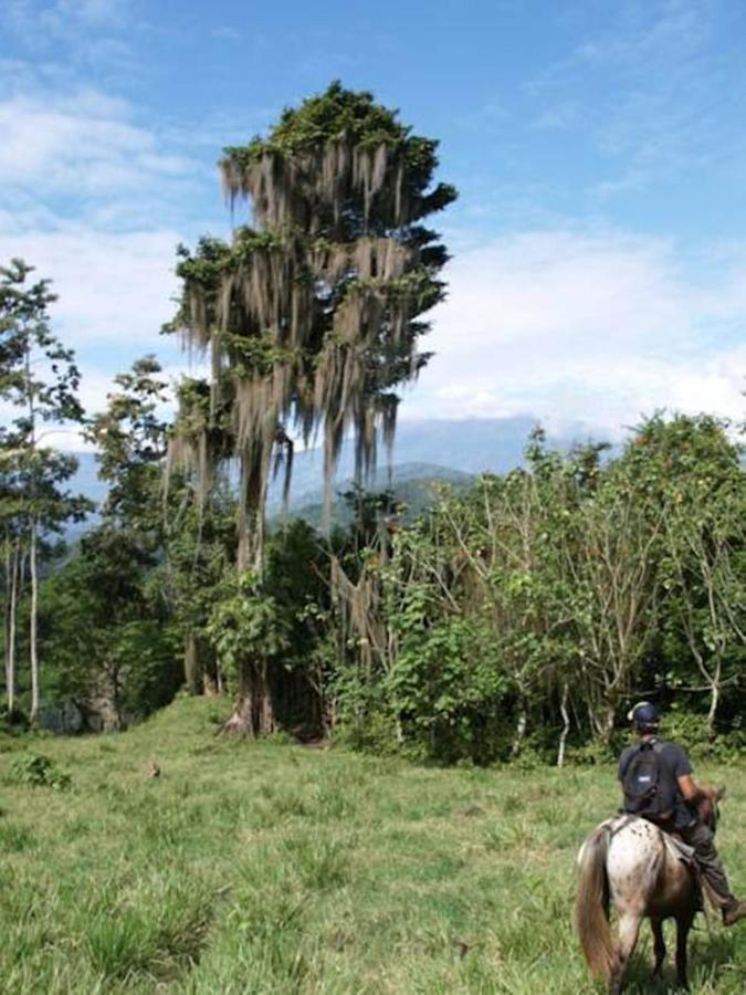 Hacienda Monteclaro Hotel Turrialba Ngoại thất bức ảnh