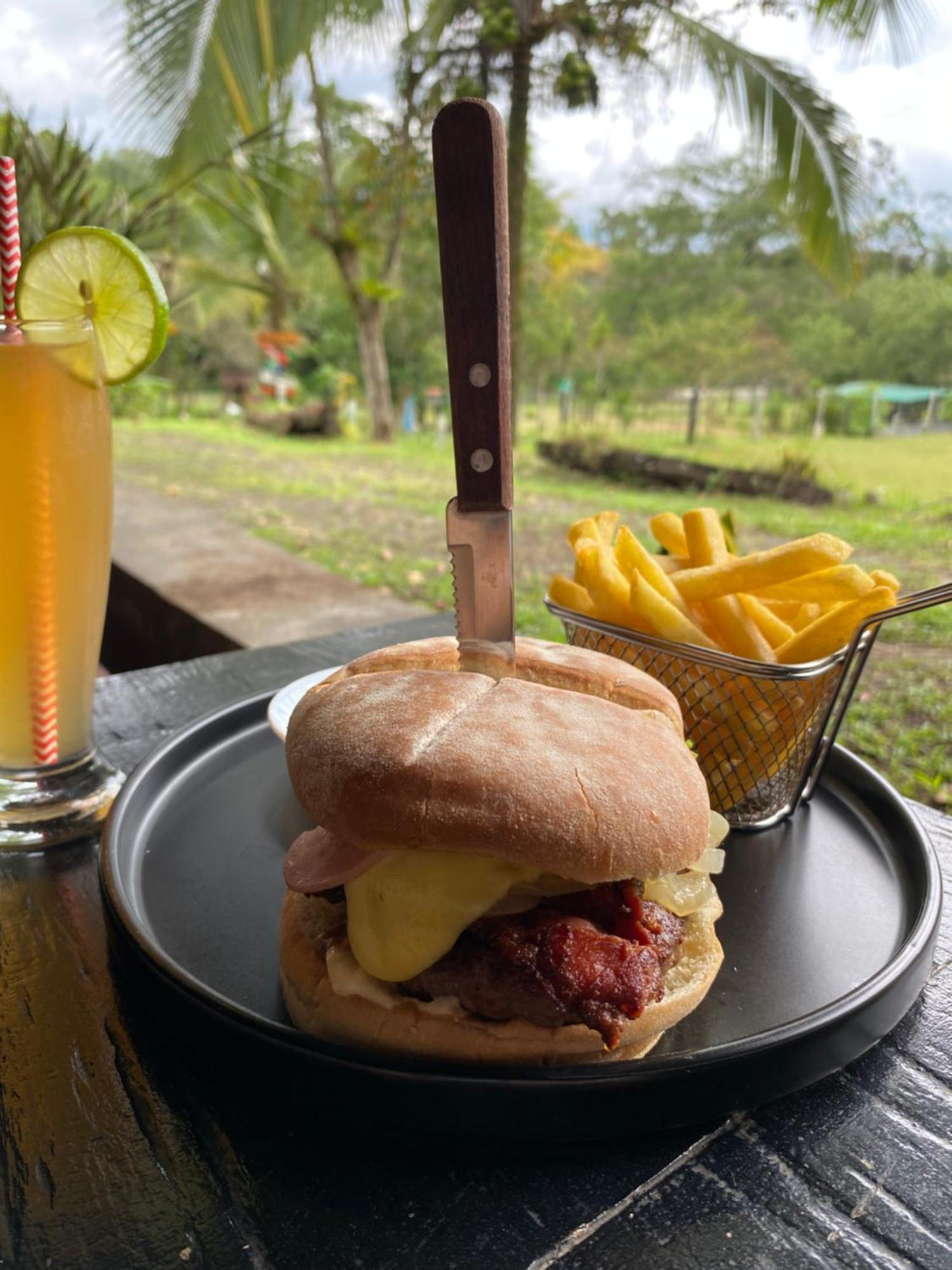 Hacienda Monteclaro Hotel Turrialba Ngoại thất bức ảnh