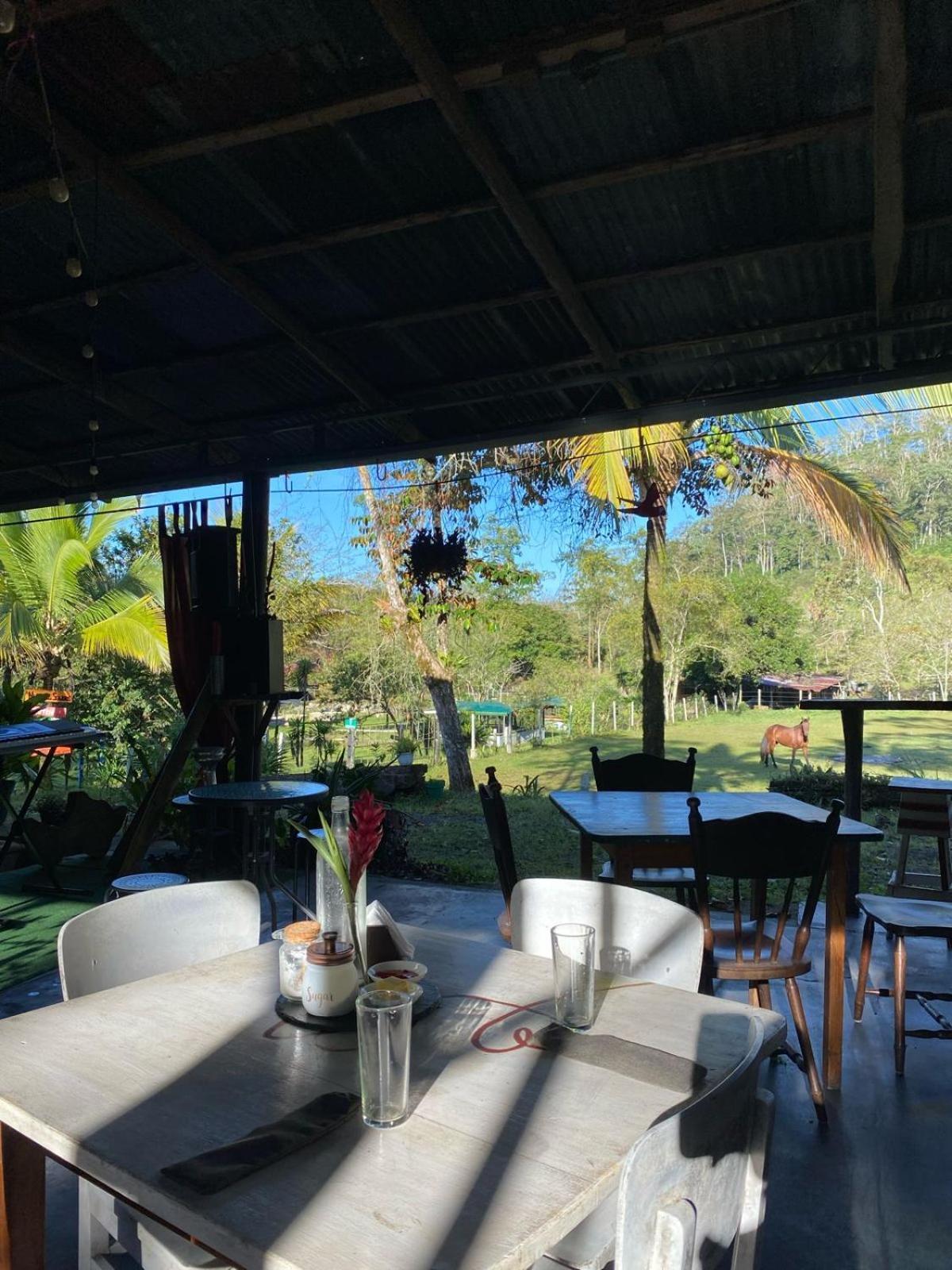 Hacienda Monteclaro Hotel Turrialba Ngoại thất bức ảnh